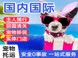 乌拉特中旗海流图航空托运国际宠物托运 【国